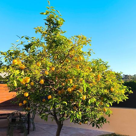 Adosado Con Jardin En Los Xalets De Салоу Екстериор снимка