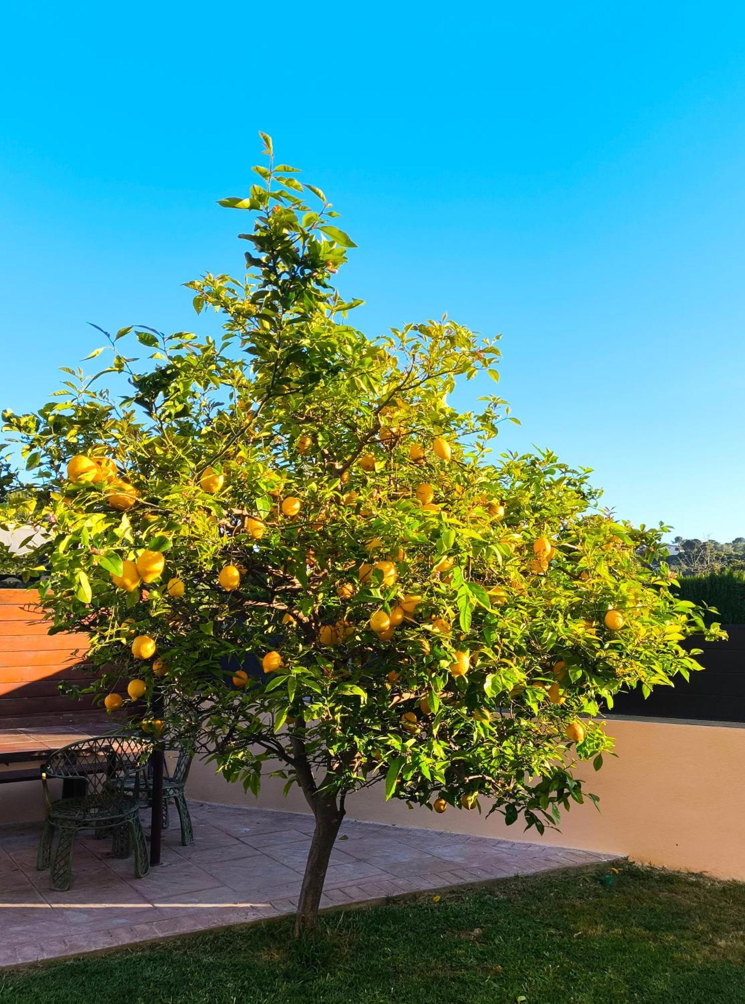 Adosado Con Jardin En Los Xalets De Салоу Екстериор снимка